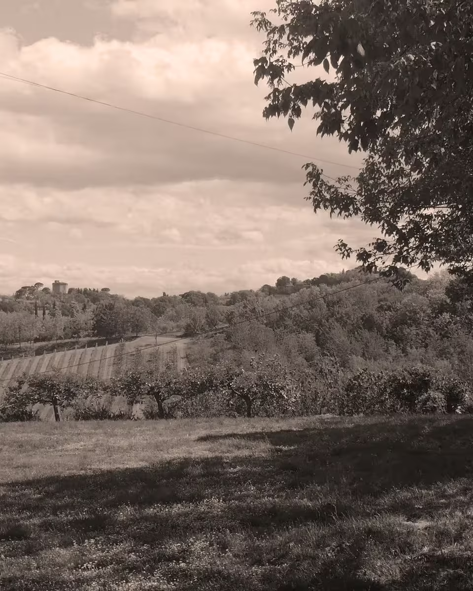 Visita guidata - Oriolo dei Fichi, un piccolo borgo di grandi meraviglie. La chiesa, la torre e il verde circostante - 8 novembre 2025