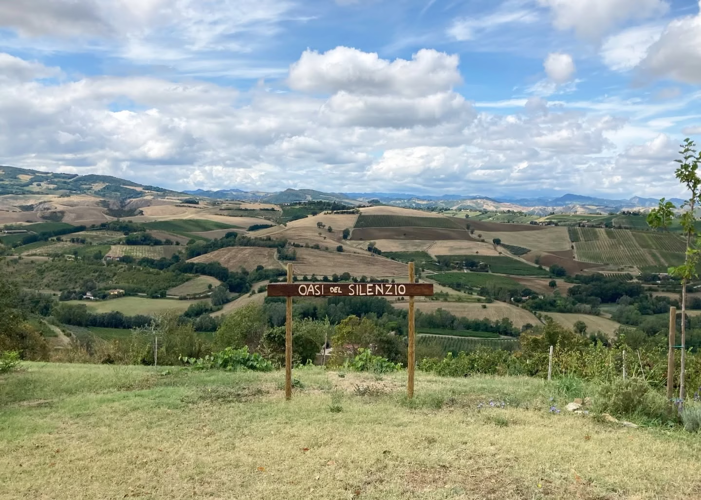 WHITE PARTY PICNIC - 19 giugno 2026